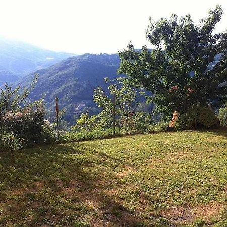Ospitaci Appartamenti Di Campagna Le Rancole Valtopina 外观 照片